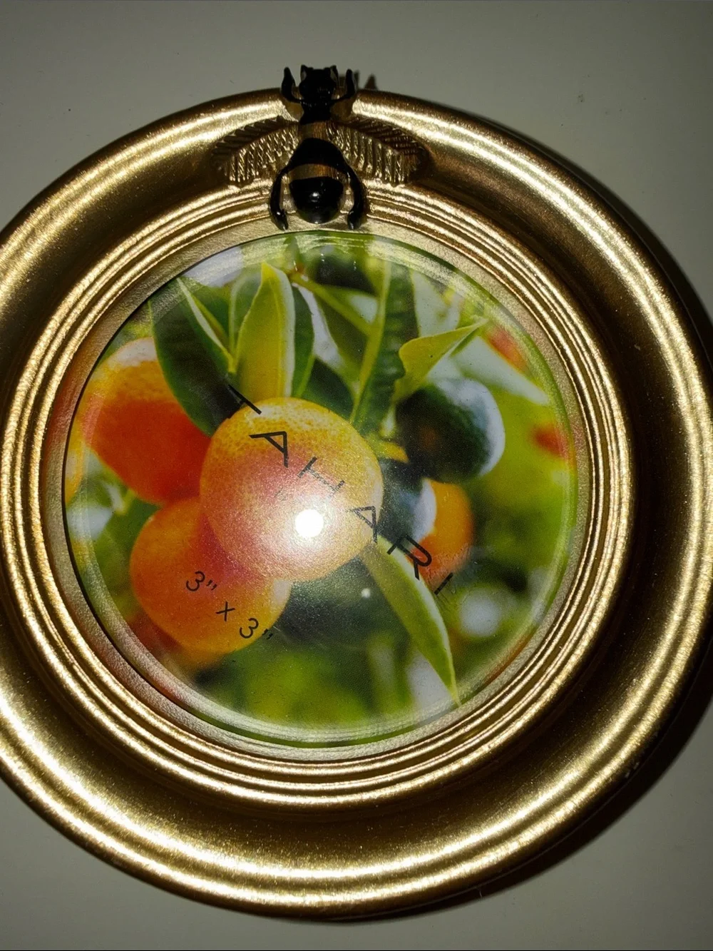 Tahari Gold Round Decorative Picture Frame